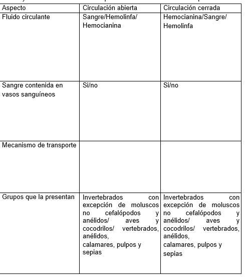 Solved Subraya La Opci N Correcta Seg N El Caso Y Establece Las Diferencias Entre La