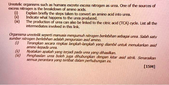 Solved Ureotelic Organisms Such As Humans Excrete Excess Nitrogen As Urea One Of The Sources Of Excess Nitrogen Is The Breakdown Of Amino Acids Explain Briefly The Steps Taken To Convert A Amino