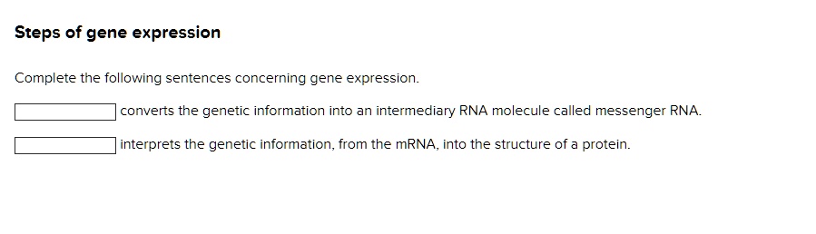 Steps of gene expression
Complete the following sentences concerning gene expression.
 converts the genetic information into an intermediary RNA molecule called messenger RNA.
 interprets the genetic information, from the mRNA, into the structure of a protein.