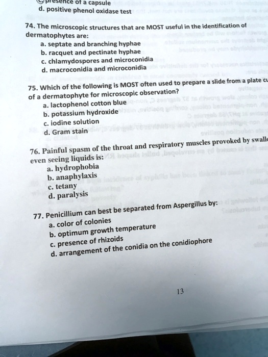 SOLVED Ejenice Ot capsule positive phenol oxidase test 74. The
