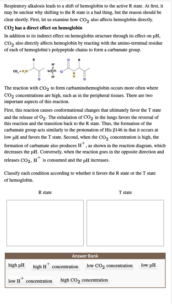 Respiratory alkalosis leads to a shift of hemoglobin to the active R state. At first, it may be unclear why shifting to the R state is a bad thing, but the reason should be clear shortly. First, let us examine how CO2 also affects hemoglobin directly.
CO2 has a direct effect on hemoglobin
In addition to its indirect effect on hemoglobin structure through its effect on pH, CO2 also directly affects hemoglobin by reacting with the amino-terminal residue of each of hemoglobin's polypeptide chains to form a carbamate group.
The reaction with CO2 to form carbaminohemoglobin occurs more often where CO2 concentrations are high, such as in the peripheral tissues. There are two important aspects of this reaction.
First, this reaction causes conformational changes that ultimately favor the T state and the release of O2. The exhalation of CO2 in the lungs favors the reversal of this reaction and the transition back to the R state. Thus, the formation of the carbamate group acts similarly to the protonation of His ?146 in that it occurs at low pH and favors the T state. Second, when the CO2 concentration is high, the formation of carbamate also produces H+, as shown in the reaction diagram, which decreases the pH. Conversely, when the reaction goes in the opposite direction and releases CO2, H+ is consumed and the pH increases.
Classify each condition according to whether it favors the R state or the T state of hemoglobin.
R state
T state
Answer Bank
high pH
high H+ concentration
low CO2 concentration
low pH
low H+ concentration
high CO2 concentration