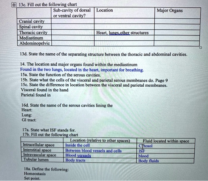 13c. Fill out the following chart Subcavity of dorsa… SolvedLib