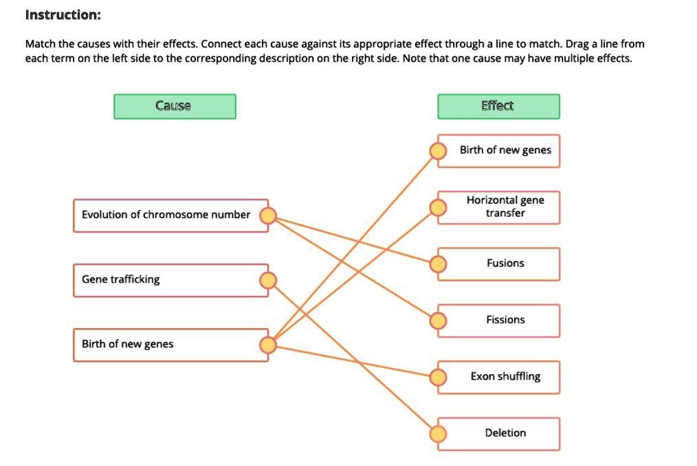 ixl match each cause to its effect year 3 english