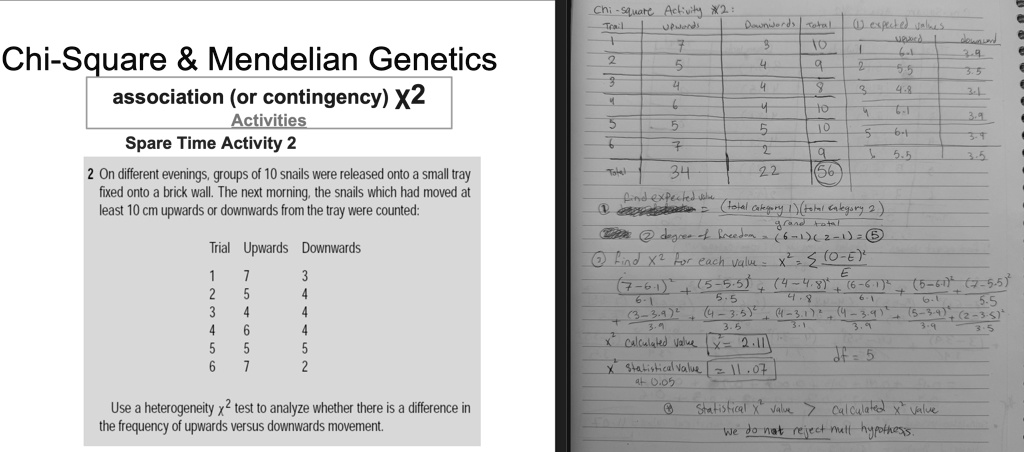 Chi-Square Mendelian Genetics association (or...