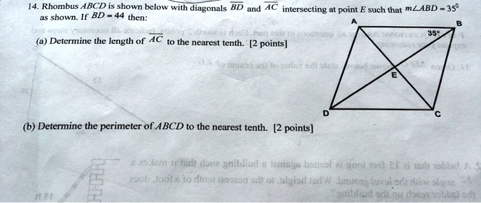 SOLVED: Rhombus ABCD Is Shown Below With Diagonals BD And AC ...