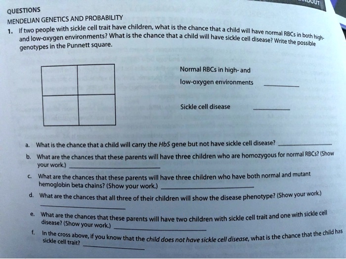 QUESTIONS
MENDELIAN GENETICS AND PROBABILITY
1. If two people with sickle cell trait have children, what is the chance that a child will have normal RBCs in both high- and low-oxygen environments? What is the chance that a child will have sickle cell disease? Write the possible genotypes in the Punnett square.

Normal RBCs in high- and low-oxygen environments 

Sickle cell disease 

a. What is the chance that a child will carry the HbS gene but not have sickle cell disease? 
b. What are the chances that these parents will have three children who are homozygous for normal RBCs? (Show your work.) 
c. What are the chances that these parents will have three children who have both normal and mutant hemoglobin beta chains? (Show your work.) 
d. What are the chances that all three of their children will show the disease phenotype? (Show your work.) 
e. What are the chances that these parents will have two children with sickle cell trait and one with sickle cell disease? (Show your work.) 
f. In the cross above, if you know that the child does not have sickle cell disease, what is the chance that the child has sickle cell trait? 