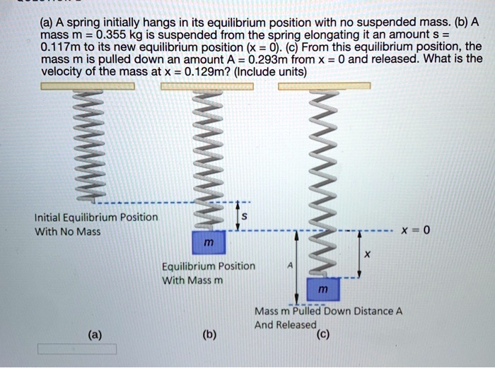 SOLVED: (a) A spring initially hangs in its equilibrium position with ...