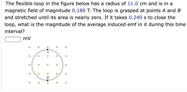 The flexible loop in the figure below has a radius of 11.0 cm and is in a magnetic field of magnitude 0.180 T. The loop is grasped at points A and B and stretched until its area is nearly zero. If it takes 0.240 s to close the loop, what is the magnitude of the average induced emf in it during this time interval?
 mV