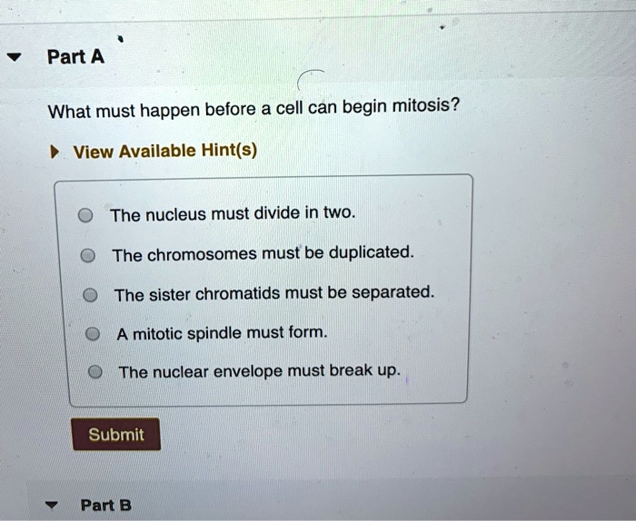 part a what must happen before a cell can begin mitosis view 