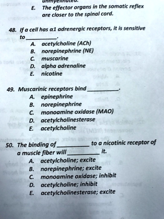 E. The effector organs in the somatic reflex
are closer to the spinal cord.
48. If a cell has a1 adrenergic receptors, it is sensitive
to .
A. acetylcholine (ACh)
B. norepinephrine (NE)
C. muscarine
D. alpha adrenaline
E. nicotine
49. Muscarinic receptors bind .
A. epinephrine
B. norepinephrine
C. monoamine oxidase (MAO)
D. acetylcholinesterase
E. acetylcholine
50. The binding of  to a nicotinic receptor of
a muscle fiber will  it.
A. acetylcholine; excite
B. norepinephrine; excite
C. monoamine oxidase; inhibit
D. acetylcholine; inhibit
E. acetylcholinesterase; excite