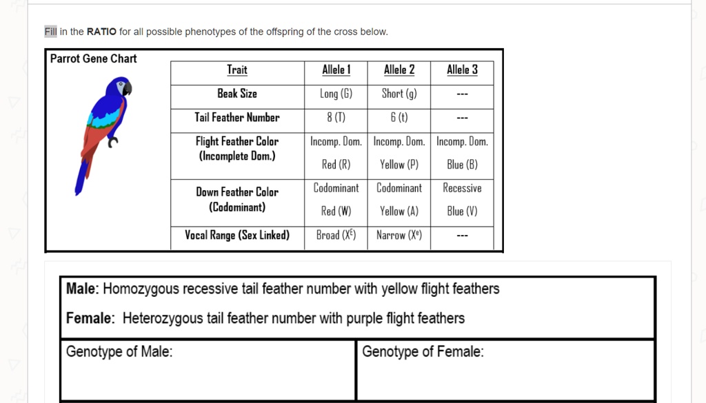 SOLVED In the ratio for all possible phenotypes of the offspring of