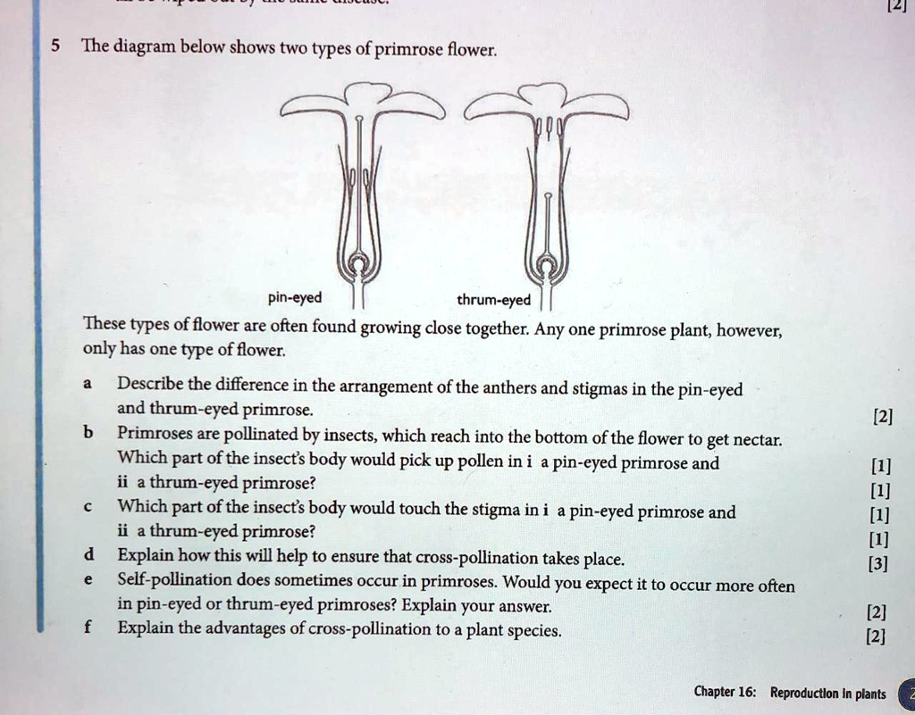 SOLVED: a. Describe the difference in the arrangements of the anthers ...