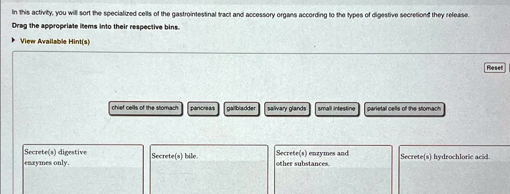 SOLVED: In this activity, you will sort the specialized cells of the ...