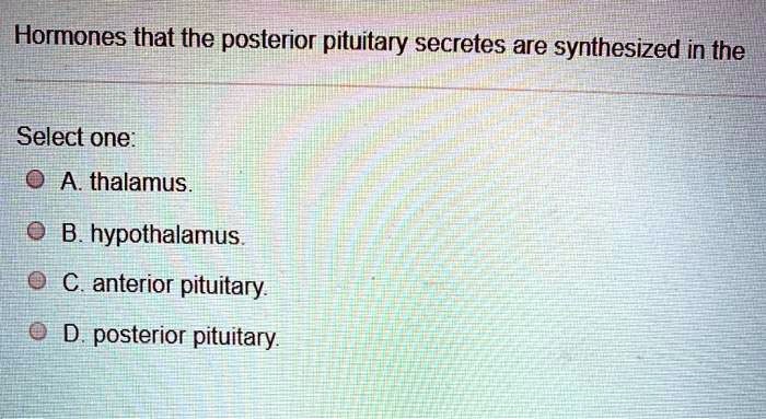 Hormones that the posterior pituitary secretes are synthesized in the
Select one:
A. thalamus.
B. hypothalamus.
C. anterior pituitary.
D. posterior pituitary.