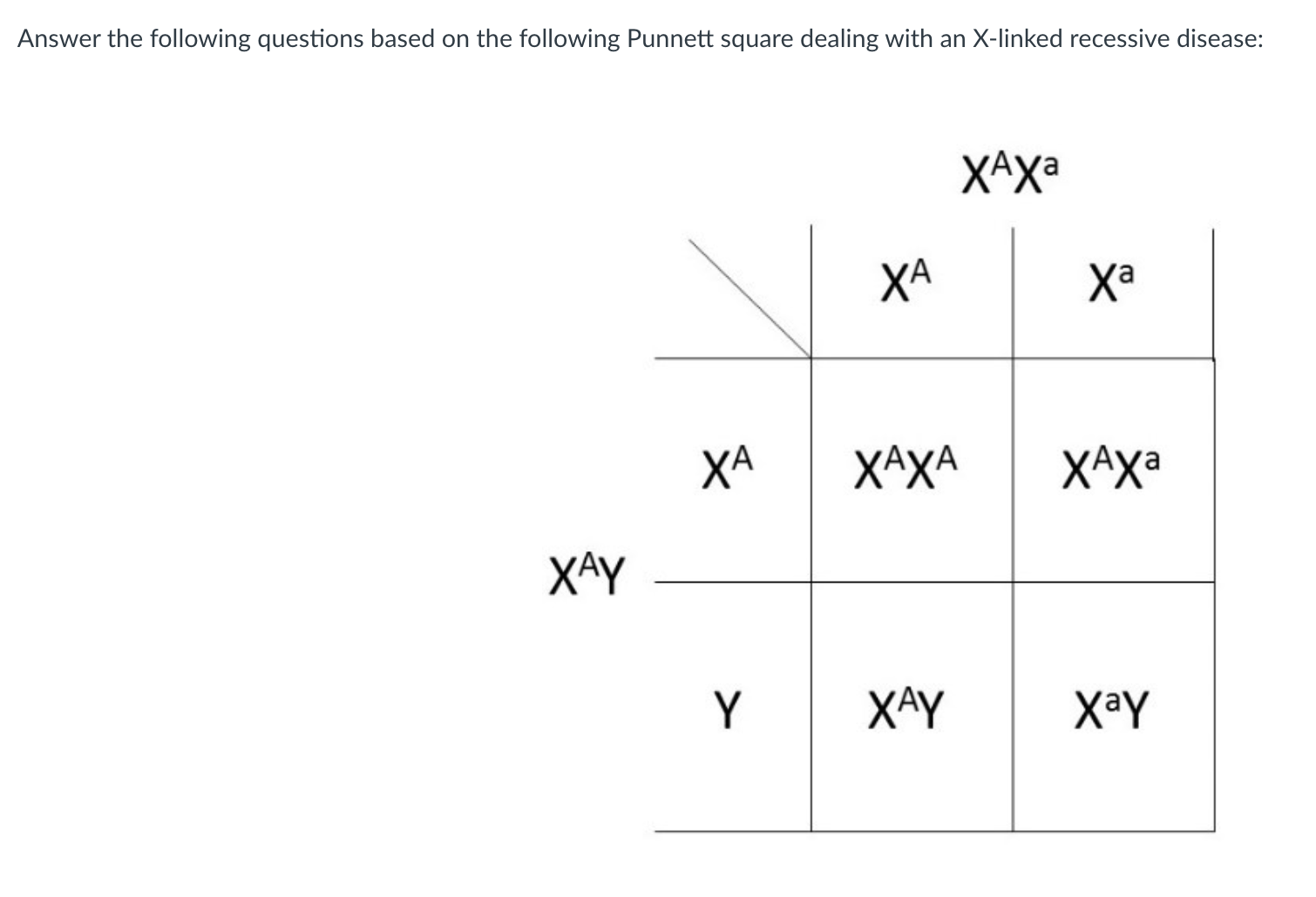 SOLVED: Answer the following questions based on the following Punnett ...