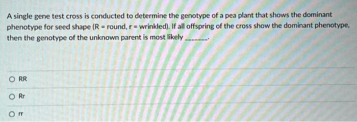 A single gene test cross is conducted to determine the genotype of a pea plant that shows the dominant phenotype for seed shape (R = round, r = wrinkled). If all offspring of the cross show the dominant phenotype, then the genotype of the unknown parent is most likely .

ORR
O Rr
O rr
