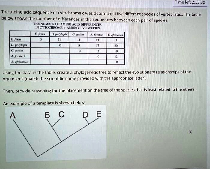 SOLVED Time left 2.53.30 The amino acid sequence of cytochrome was determined in five