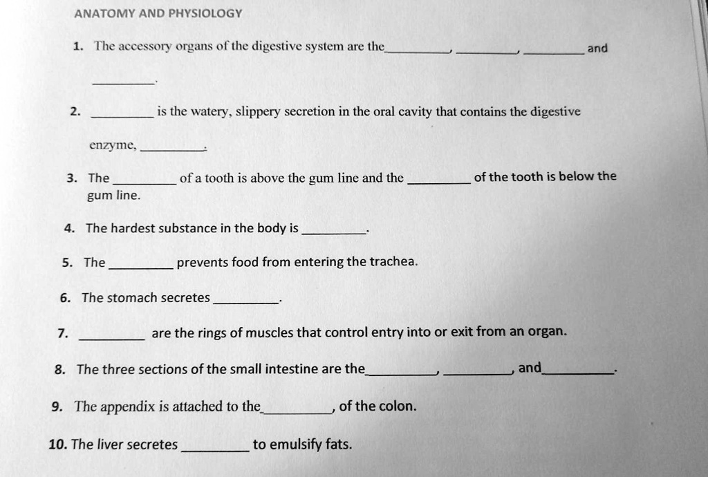 SOLVED 1. The accessory organs of the digestive system are the liver