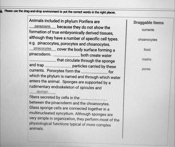 SOLVED Animals included in phylum Porifera are unique because they do