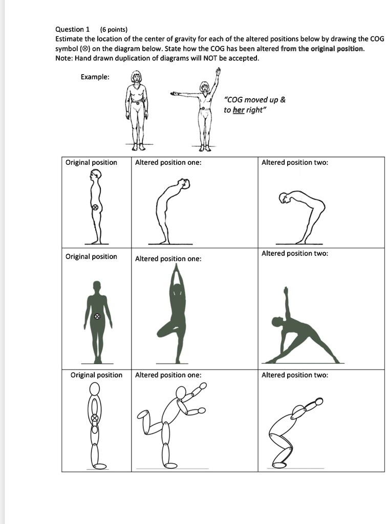Question 1 (6 points) Estimate the location of the center of gravity ...