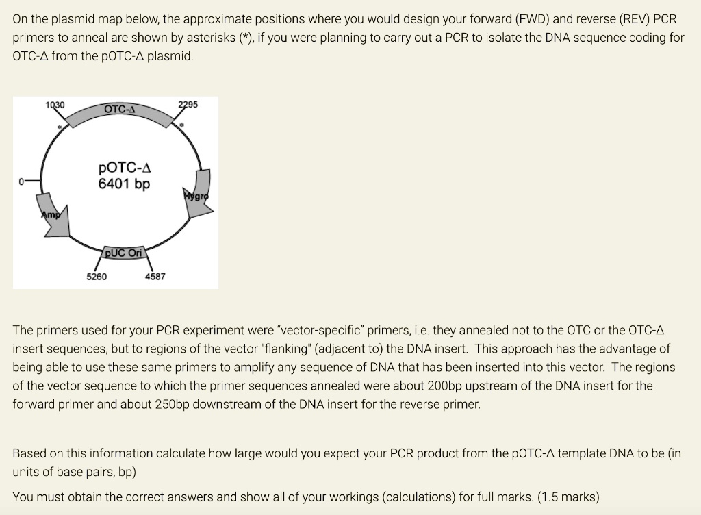 SOLVED: On the plasmid map below; the approximate positions where you ...