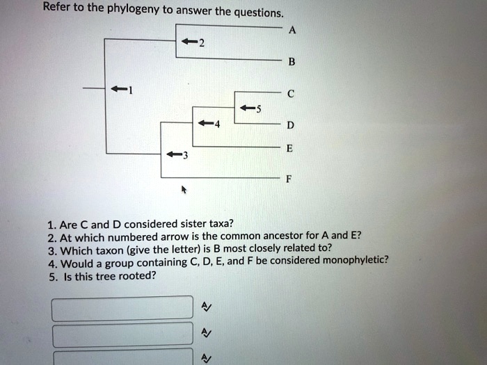 Refer to the phylogeny to answer the questions. -1 3 2 -4 -5 A B C D E ...
