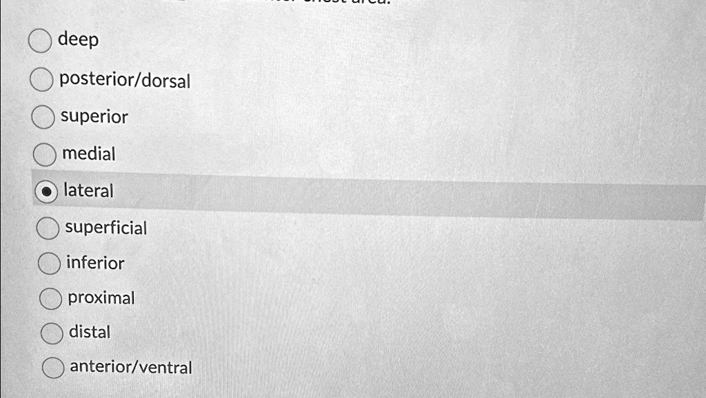 SOLVED: deep posterior/dorsal superior medial lateral superficial