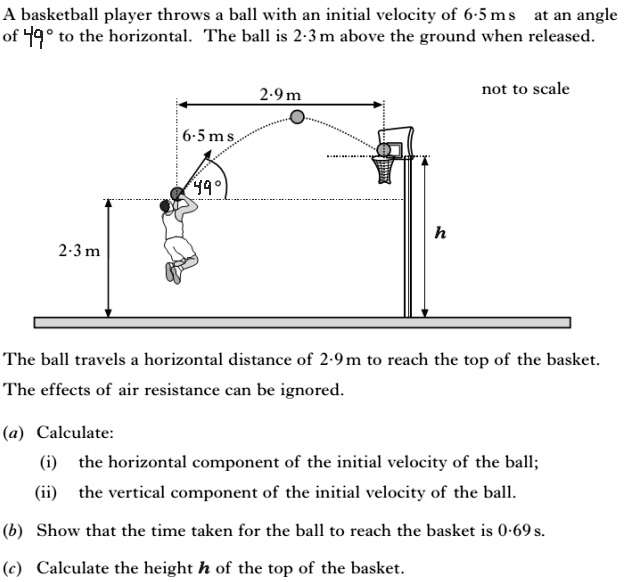 A basketball player throws a ball with an initial velocity of 6·5 m s at an angle of 49° to the horizontal. The ball is 2·3 m above the ground when released. not to scale 2·9 m 6·5 m s 49° 2·3 m h The ball travels a horizontal distance of 2·9 m to reach the top of the basket. The effects of air resistance can be ignored. (a) Calculate: (i) the horizontal component of the initial velocity of the ball; (ii) the vertical component of the initial velocity of the ball. (b) Show that the time taken for the ball to reach the basket is 0·69 s. (c) Calculate the height h of the top of the basket.