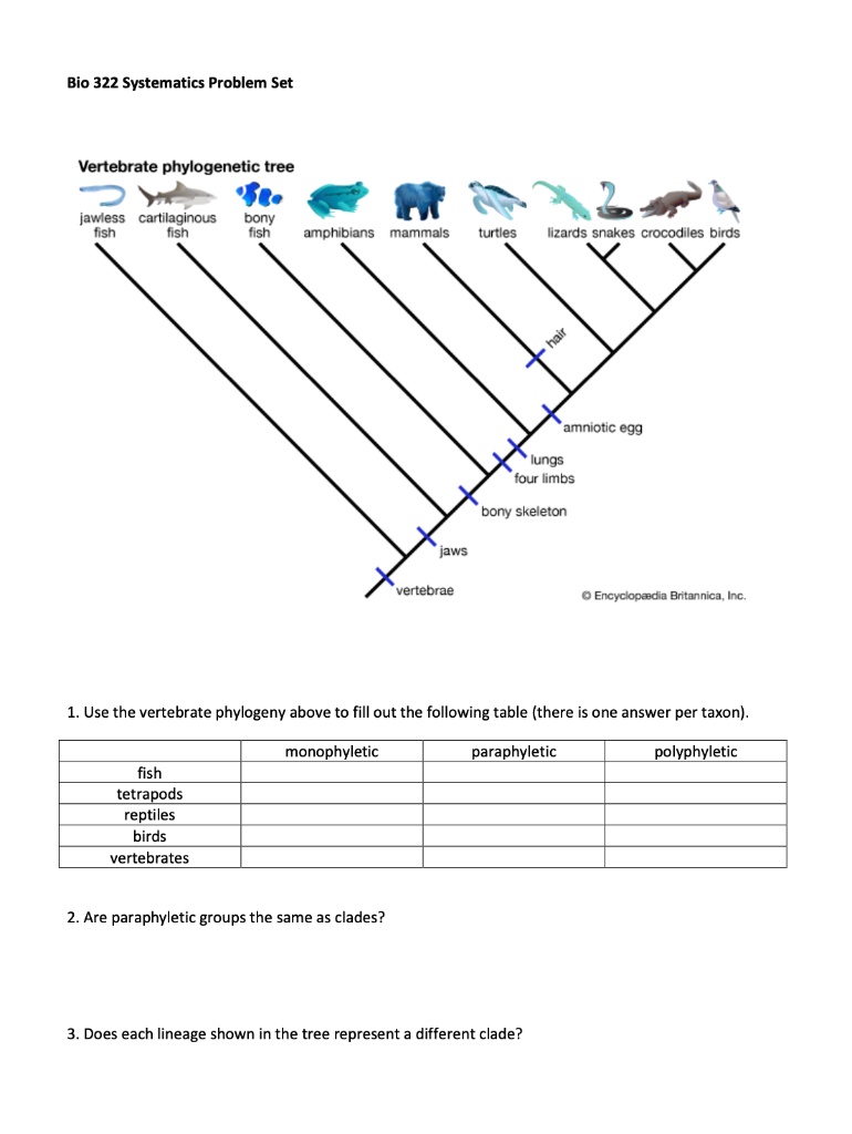 SOLVED: Bio 322 Systematics Problem Set Vertebrate phylogenetic tree