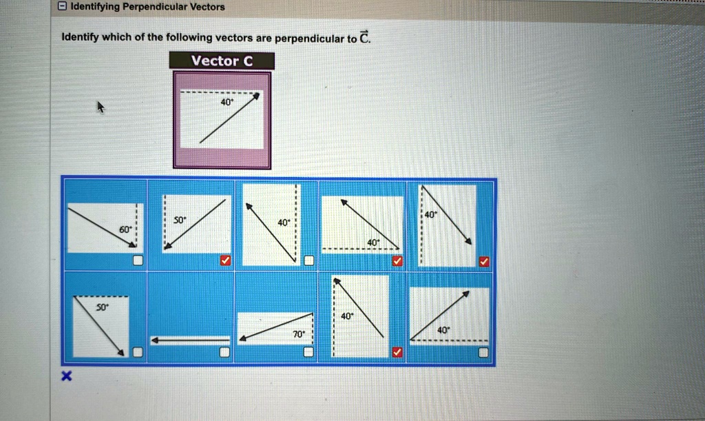 C Vector
