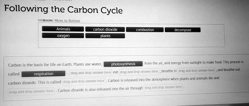 SOLVED: 'Can someone help me with this really quick? Following the Carbon  Cycle ITEMBANK: Moveto Bottom Animals carbon dioxide oxygen plants  combustion decompose Carbon is the basis for life on Earth. Plants