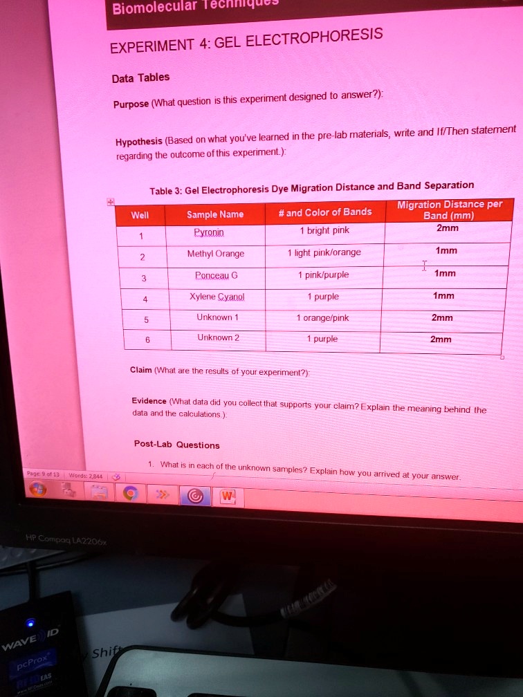 SOLVEDBiomolecular eciques EXPERIMENT 4 GEL ELECTROPHORESIS Data