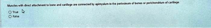 Muscles with direct attachment to bone and cartilage are connected by epimysium to the periosteum of bones or perichondrium of cartilage
O True
O False