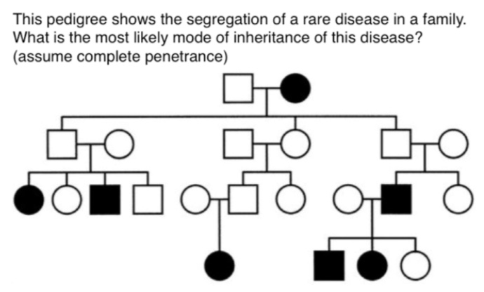 SOLVED: This pedigree shows the segregation of a rare disease in a ...