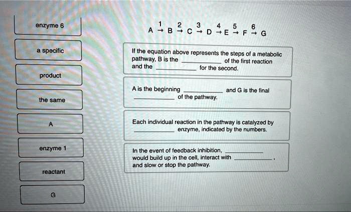 SOLVED: enzyme 6 3. 456 B a specific If the equation above represents ...