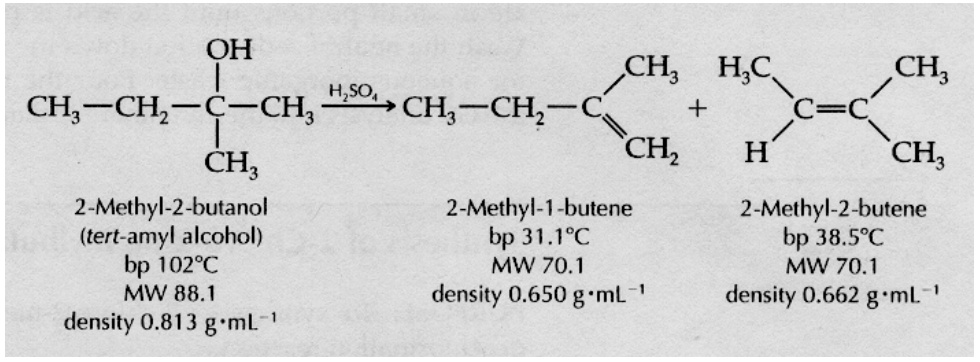 oh ch hc ch chi ch hsol ch chchz c chz h ch ch 2 methyl 2 butanol 2 methyl 1 butene 2 methyl 2 butene tert amyl alcohol bp 3118c bp 385 bp 1028c mw 701 mw 701 mw 88 density 0650 g ml densit 01834