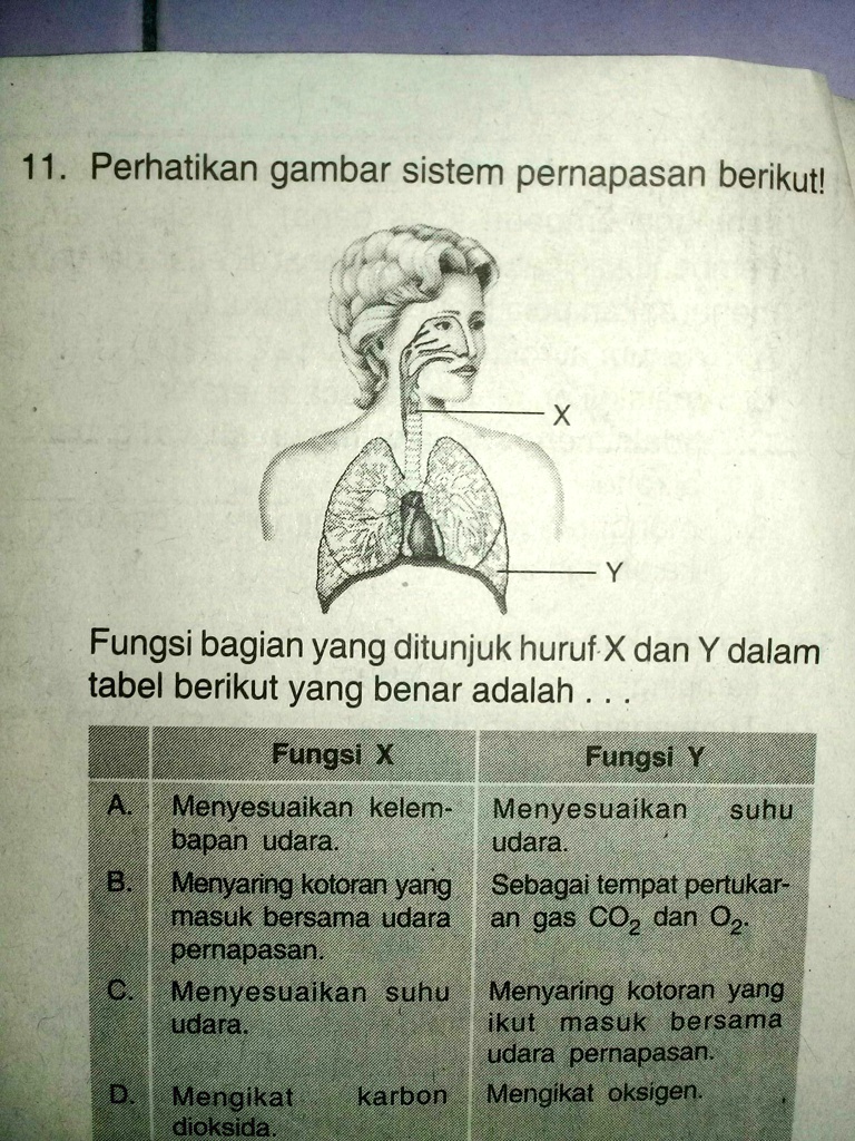 SOLVED: Tolong Di Jawab Ya Ini Fungsinya 11 Perhatikan Gambar Sistem ...