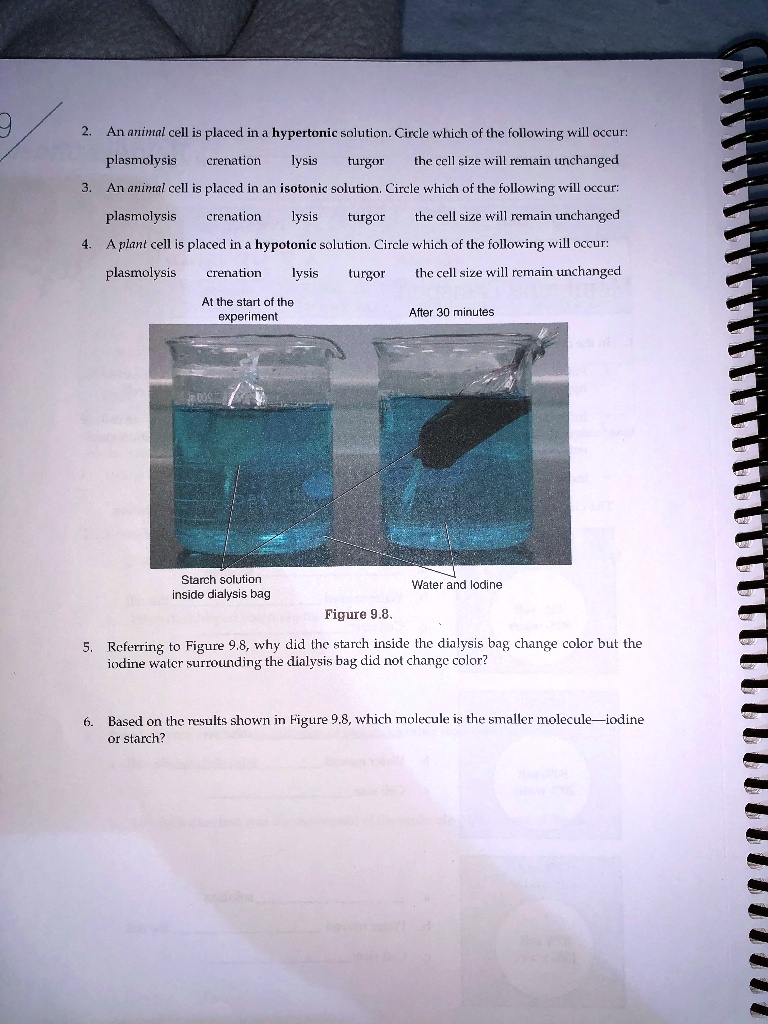 SOLVED:An animtal cell is placed in a hypertonic solution. Circle which