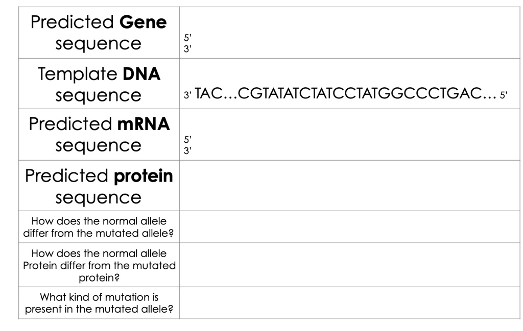 SOLVED: Predicted Gene sequence Template DNA sequence 3' TAC ...