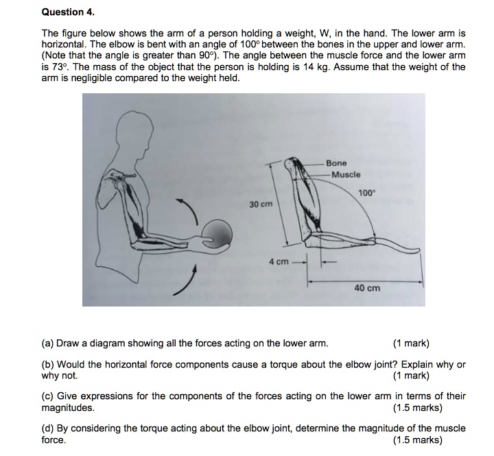 SOLVED Question 4 The figure below shows the arm of person holding