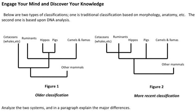 Engage Your Mind and Discover Your Knowledge Below are two types of ...