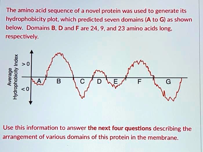 SOLVED The amino acid sequence of a novel protein was used to generate