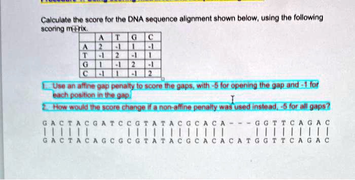 VIDEO solution: Calculate the score for the DNA sequence alignment ...