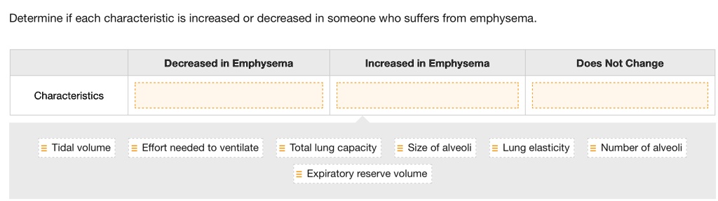Determine if each characteristic is increased or decreased in someone who suffers from emphysema.
Characteristics
Decreased in Emphysema
Increased in Emphysema
Does Not Change
Tidal volume
Effort needed to ventilate
Total lung capacity
Size of alveoli
Lung elasticity
Number of alveoli
Expiratory reserve volume