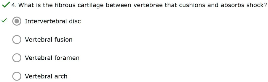 Cushion between clearance vertebrae