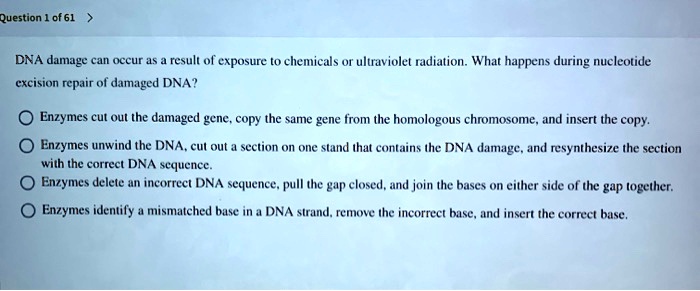 DNA damage can occur as a result of exposure to chemicals or ultraviolet radiation. What happens during nucleotide excision repair of damaged DNA?
Enzymes cut out the damaged gene, copy the same gene from the homologous chromosome, and insert the copy.
Enzymes unwind the DNA, cut out a section on one strand that contains the DNA damage, and resynthesize the section with the correct DNA sequence.
Enzymes delete an incorrect DNA sequence, pull the gap closed, and join the bases on either side of the gap together.
Enzymes identify a mismatched base in a DNA strand, remove the incorrect base, and insert the correct base.