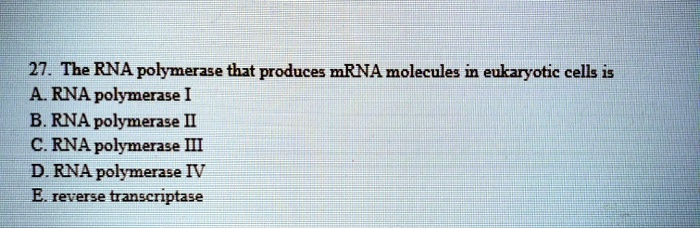 SOLVED: 27. The RNA Polymerase That Produces MRNA Molecules In ...