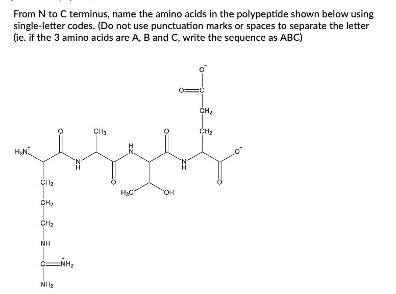 SOLVED: From N to C terminus, name the amino acids in the polypeptide ...