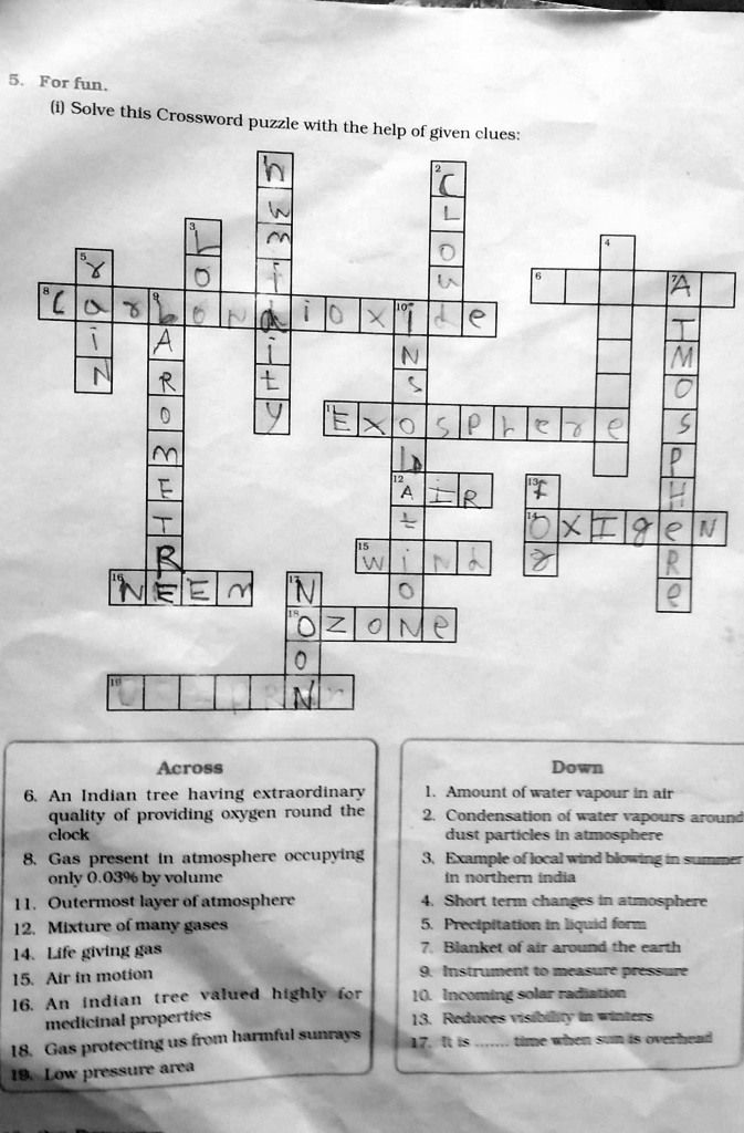 Chapter 14 Crossword Puzzle ShabenaAidin