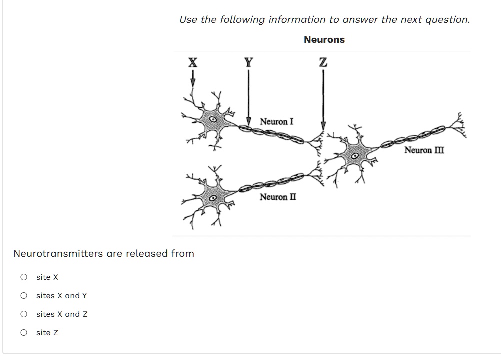 Use the following information to answer the next question. Neurons ...